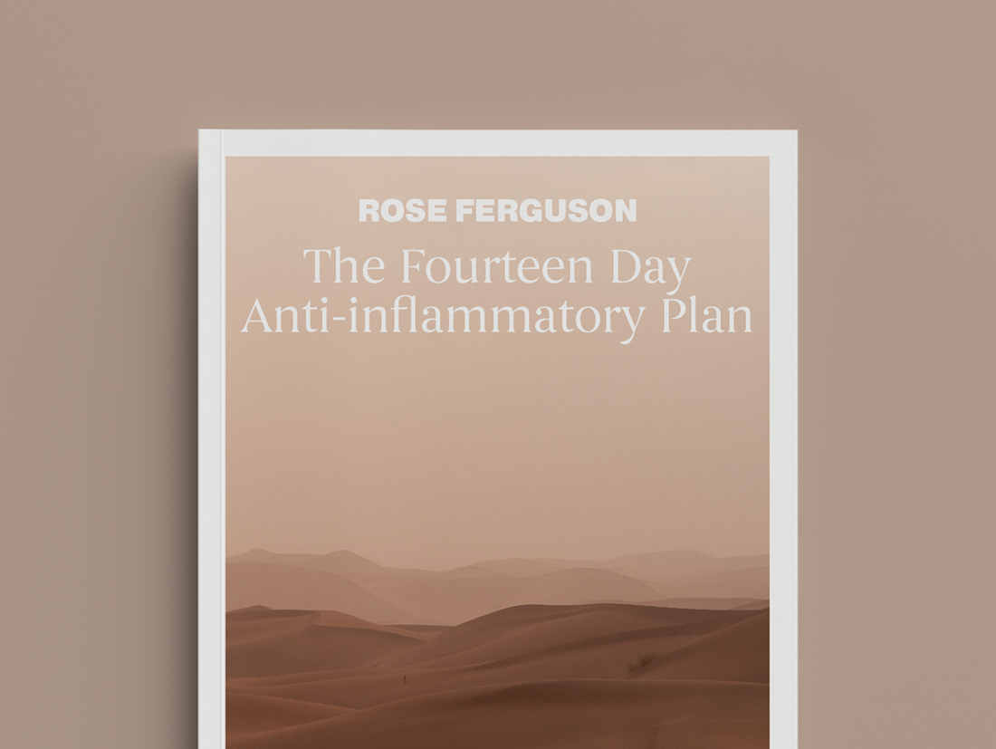 14 Day Plan