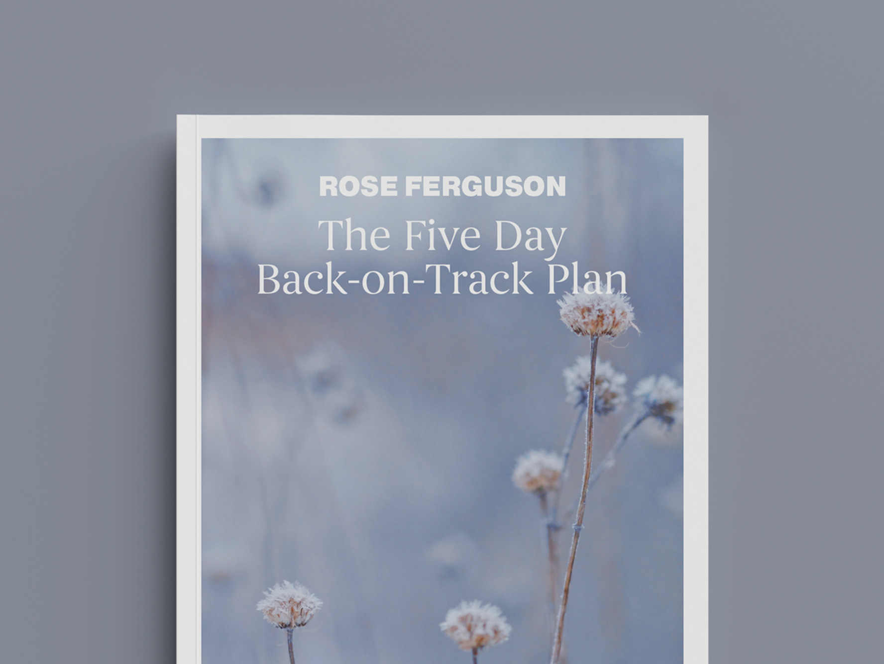 5 Day Back-on-Track Plan