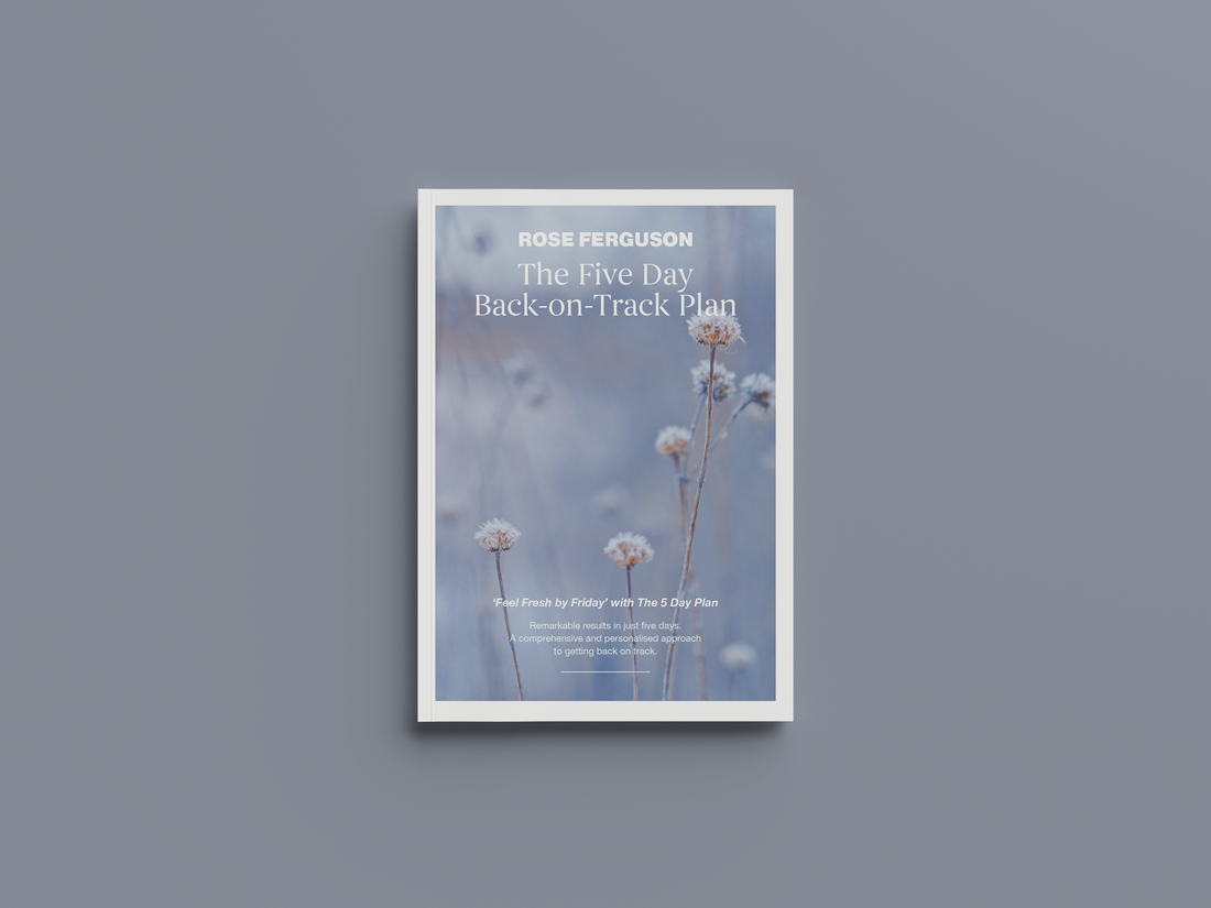 5 Day Back-on-Track Plan