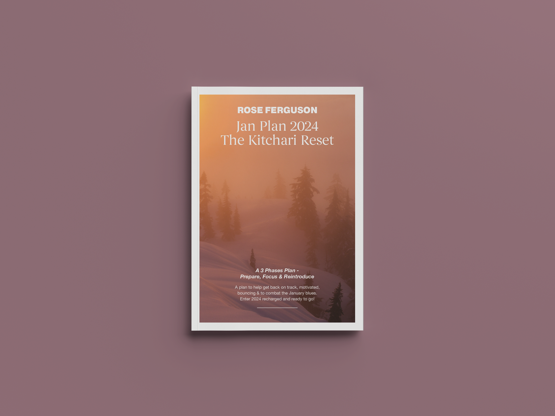 Jan Plan 2024 - The Kitchari Reset
